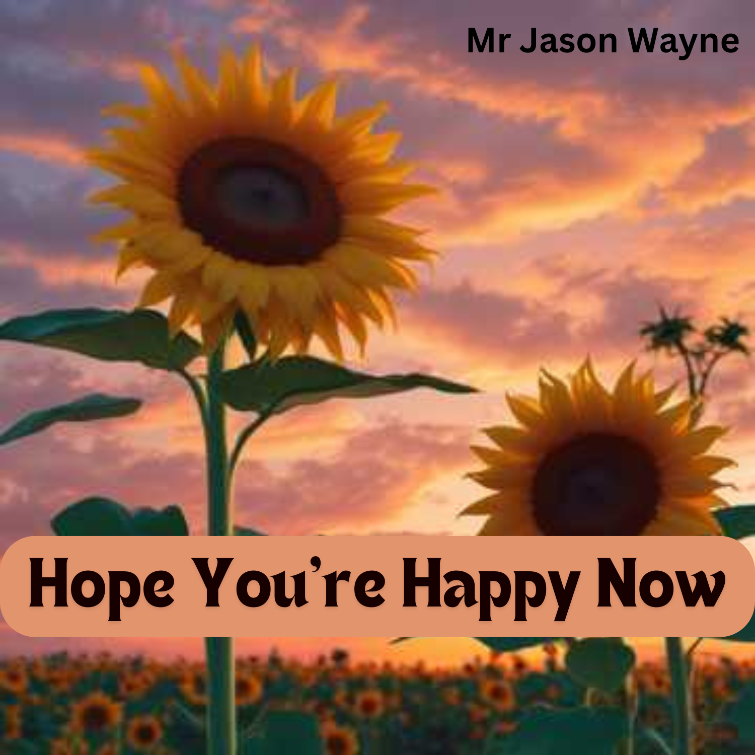 Hope Your Happy Now