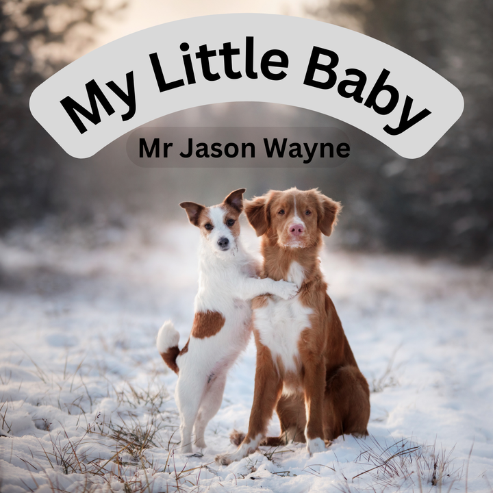 My Little Baby